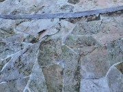 Je trompe mon mec à l'hotel avec une grosse bite noire à peine rencontrée Couple Amateur 🍑💦🍆 2/16