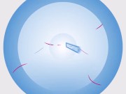 The Girls Who Saved Thanksgiving - Ava Davis, Myra Moans, Danny Mountain & Will Pounder 1/16