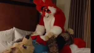 Hot Lynx Ride 😺