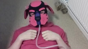 Piss Drinking Puppy