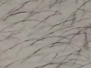 Semi-erecta 23cm xxx 10/16