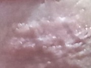 Semi-erecta 23cm xxx 15/16