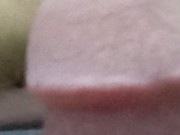 Semi-erecta 23cm xxx 6/16