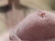 Semi-erecta 23cm xxx 8/16