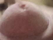 Semi-erecta 23cm xxx 9/16