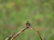 Listen to this peaceful mind relaxing while watching sound .Rain sound.
