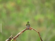 Listen to this peaceful mind relaxing while watching sound .Rain sound. 10/16