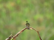 Listen to this peaceful mind relaxing while watching sound .Rain sound. 11/16