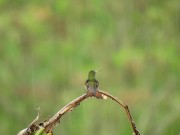 Listen to this peaceful mind relaxing while watching sound .Rain sound. 13/16