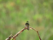 Listen to this peaceful mind relaxing while watching sound .Rain sound. 15/16