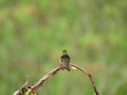 Listen to this peaceful mind relaxing while watching sound .Rain sound. 2/16