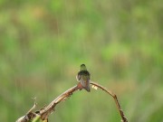 Listen to this peaceful mind relaxing while watching sound .Rain sound. 3/16