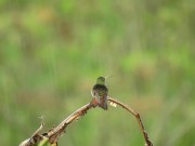 Listen to this peaceful mind relaxing while watching sound .Rain sound. 4/16