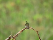 Listen to this peaceful mind relaxing while watching sound .Rain sound. 5/16