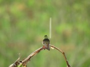 Listen to this peaceful mind relaxing while watching sound .Rain sound. 6/16