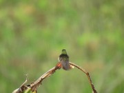 Listen to this peaceful mind relaxing while watching sound .Rain sound. 7/16