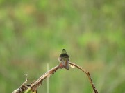 Listen to this peaceful mind relaxing while watching sound .Rain sound. 9/16