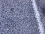 DEFI INCONNU - Je baise avec un mec trouvé sur une aire d’autoroute en public 10/16