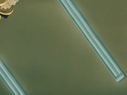 Threesome of Beauties have Hardcore Sex with Big Cocks 6/16