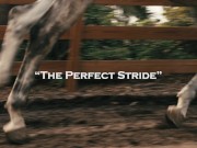 HUGE COCK for tiny Asian pussy Mina! 2/16