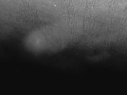 vasile mondialu primiti cu uratu 2024