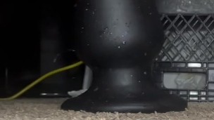 Huge buttplug stretch