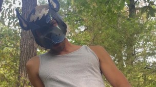 Pup Public Forest Wetting