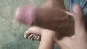 Pequeña Pajota al Despertar