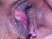 Horny chubby slut Vanilla Faith Ardalan