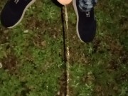 Naughty Pissing 11/16