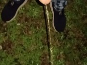 Naughty Pissing 4/16