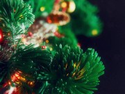 Sexy and Hot Tight Pussy Brunette Babe plays with Balls and Cock of Her Big Dick Teacher on Christmas Day to celebrate XMas 1/16