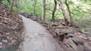 Explorando el bosque sin prisa