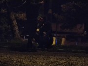 Whore deal with a big fat dick in the public park, leashed 10/16