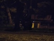 Whore deal with a big fat dick in the public park, leashed 15/16