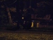 Whore deal with a big fat dick in the public park, leashed 2/16