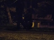 Whore deal with a big fat dick in the public park, leashed 4/16