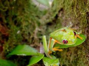 Upload720p_ChannelSubscription_2023_12_25_12h02 14/16