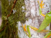 Upload720p_ChannelSubscription_2023_12_25_12h02 15/16