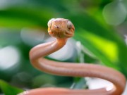 Upload720p_ChannelSubscription_2023_12_25_12h02 16/16