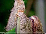 Upload720p_ChannelSubscription_2023_12_25_12h02 2/16