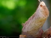 Upload720p_ChannelSubscription_2023_12_25_12h02 4/16