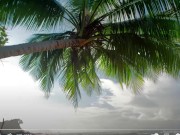 Upload720p_ChannelSubscription_2023_12_25_12h02 6/16