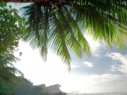 Upload720p_ChannelSubscription_2023_12_25_12h02 7/16