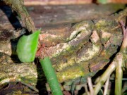 Upload720p_ChannelSubscription_2023_12_25_12h02 9/16