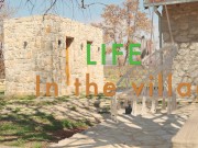 Street..... neighbor..... how are you? Go suck a dick.   Of course.... I love the Texas village 1/16