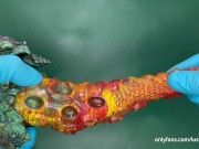 Bad Dragon Janine Has To Collect Orgasms