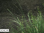 Hard Double Penetration with the gorgeous blonde babe Cherry Kiss 1/16