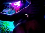 Tasting daddy's cock is the only thing that makes me cum 8/16