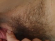 Part 1 I gave my dog a nice hose bath on a hot day and she got all wet